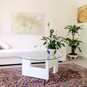 Ofelia Aparthotel